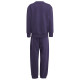 Adidas Παιδικές φόρμες σετ Essentials Big Logo Fleece Joggers Set